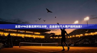 主流VPN设备品牌对比分析，企业级与个人用户如何选择？