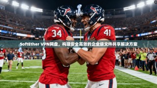 SoftEther VPN网盘，构建安全高效的企业级文件共享解决方案