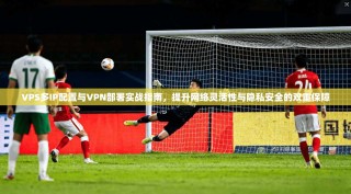 VPS多IP配置与VPN部署实战指南，提升网络灵活性与隐私安全的双重保障