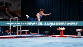 Sangfor VPN 2050 部署与优化实践，企业级安全远程访问解决方案详解