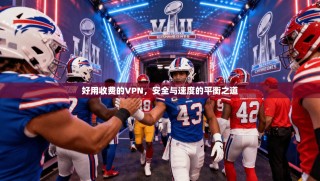 好用收费的VPN，安全与速度的平衡之道