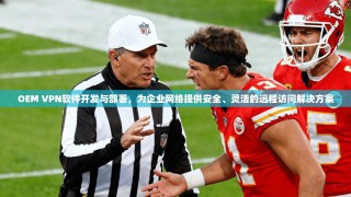 OEM VPN软件开发与部署，为企业网络提供安全、灵活的远程访问解决方案