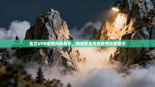 金兰VPN使用风险解析，网络安全与合规性双重警示