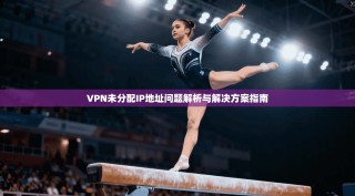 VPN未分配IP地址问题解析与解决方案指南