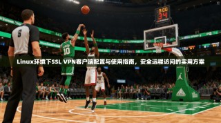 Linux环境下SSL VPN客户端配置与使用指南，安全远程访问的实用方案