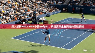 深入解析MPLS VPN中的RD与RT，构建高效企业网络的关键机制