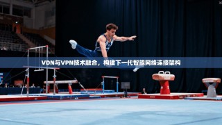 VDN与VPN技术融合，构建下一代智能网络连接架构