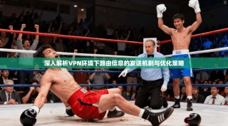深入解析VPN环境下路由信息的发送机制与优化策略
