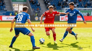 ShrewSoft VPN 客户端在企业网络中的应用与优化策略