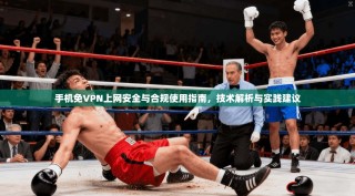 手机免VPN上网安全与合规使用指南，技术解析与实践建议
