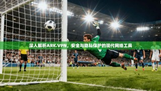 深入解析ARK.VPN，安全与隐私保护的现代网络工具