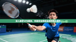 深入解析VPN模块，构建安全网络连接的核心组件