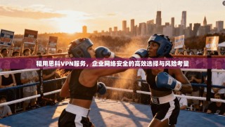 租用思科VPN服务，企业网络安全的高效选择与风险考量