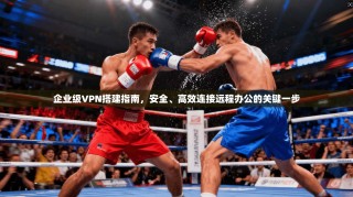 企业级VPN搭建指南，安全、高效连接远程办公的关键一步