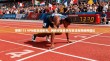 警惕173 VPN类非法服务，网络安全隐患与合法合规使用建议