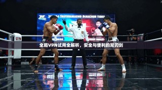全局VPN试用全解析，安全与便利的双刃剑