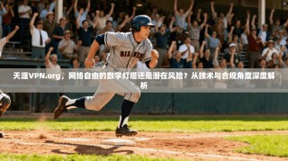 天涯VPN.org，网络自由的数字灯塔还是潜在风险？从技术与合规角度深度解析
