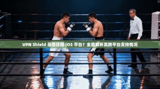 VPN Shield 是否仅限 iOS 平台？全面解析其跨平台支持情况