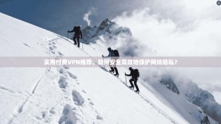 实用付费VPN推荐，如何安全高效地保护网络隐私？