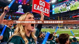 挂载VPN的软件详解，选择、配置与安全注意事项