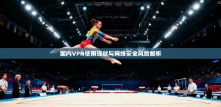 国内VPN使用现状与网络安全风险解析