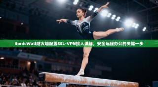 SonicWall防火墙配置SSL-VPN接入详解，安全远程办公的关键一步