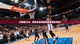 红番茄VPN，网络自由的捷径还是潜在风险？