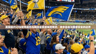 美国国内VPN使用趋势与网络监管政策的博弈，技术自由与国家安全的边界