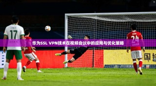 华为SSL VPN技术在视频会议中的应用与优化策略