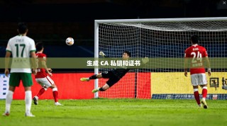 生成 CA 私钥和证书