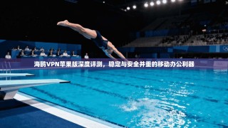 海鸥VPN苹果版深度评测，稳定与安全并重的移动办公利器