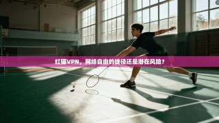 红猫VPN，网络自由的捷径还是潜在风险？