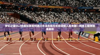 梦幻之星OL2台服玩家如何通过合法合规方式稳定接入服务器—网络工程师视角解析