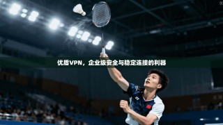 优盾VPN，企业级安全与稳定连接的利器