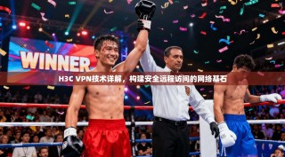 H3C VPN技术详解，构建安全远程访问的网络基石