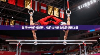 微币VPN价格解析，性价比与安全性的权衡之道
