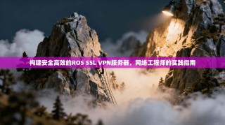 构建安全高效的ROS SSL VPN服务器，网络工程师的实践指南