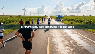 非凡VPN代理，网络自由的利器还是潜在风险？