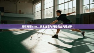黑莓开哥VPN，技术迷思与网络安全风险解析