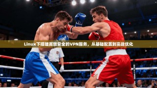 Linux下搭建高效安全的VPN服务，从基础配置到实战优化