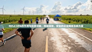 MPLS VPN的作用与优势详解，构建高效、安全的企业网络互联方案