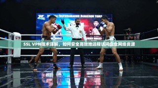 SSL VPN技术详解，如何安全高效地远程访问企业网络资源