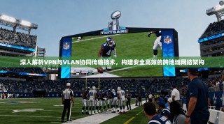 深入解析VPN与VLAN协同传输技术，构建安全高效的跨地域网络架构