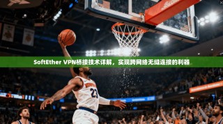 SoftEther VPN桥接技术详解，实现跨网络无缝连接的利器