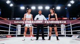 GoDaddy VPN服务深度解析，安全与便利的权衡之道