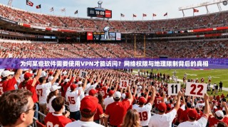 为何某些软件需要使用VPN才能访问？网络权限与地理限制背后的真相