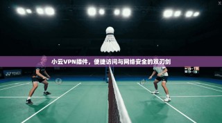小云VPN插件，便捷访问与网络安全的双刃剑