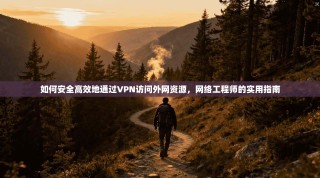 如何安全高效地通过VPN访问外网资源，网络工程师的实用指南