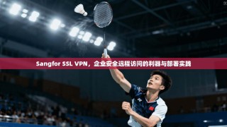 Sangfor SSL VPN，企业安全远程访问的利器与部署实践