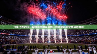 飞来飞去VPN，网络自由的双刃剑—技术便利与安全风险并存